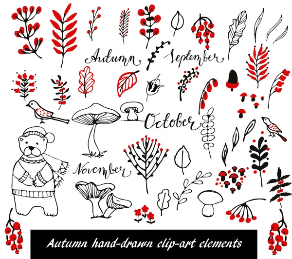 Elementos florales dibujados a mano — Archivo Imágenes Vectoriales