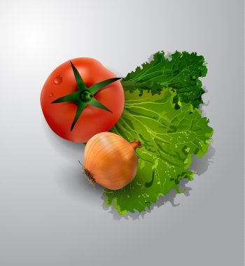 taze yeşil salata domates ve soğan