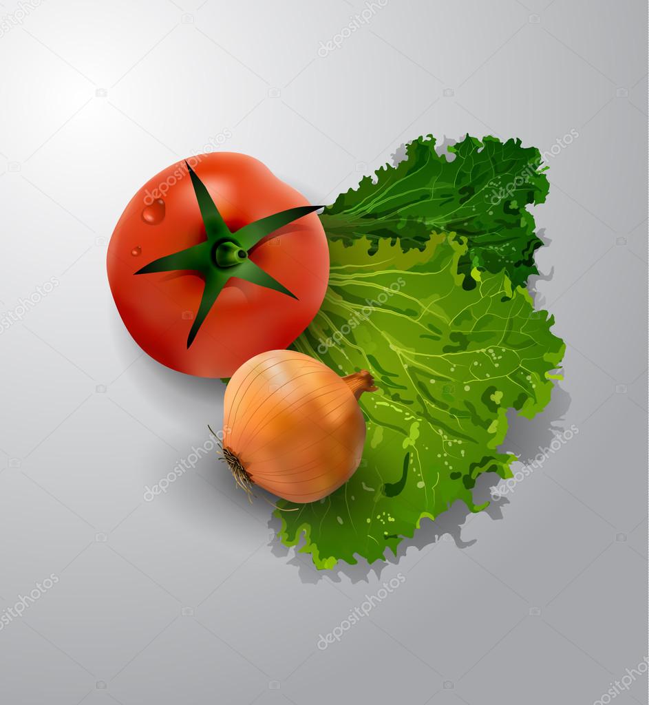 fresh green lettuce tomato and onion