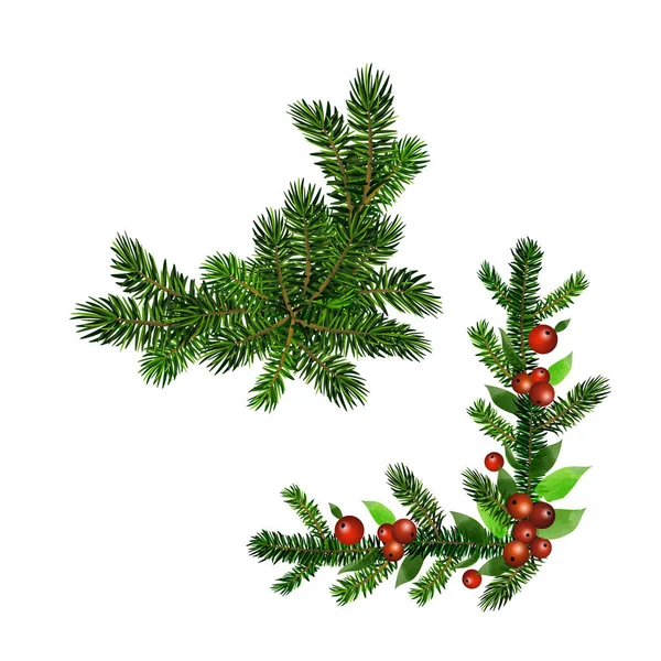 Natal Holly brunches vetor de decoração — Vetor de Stock