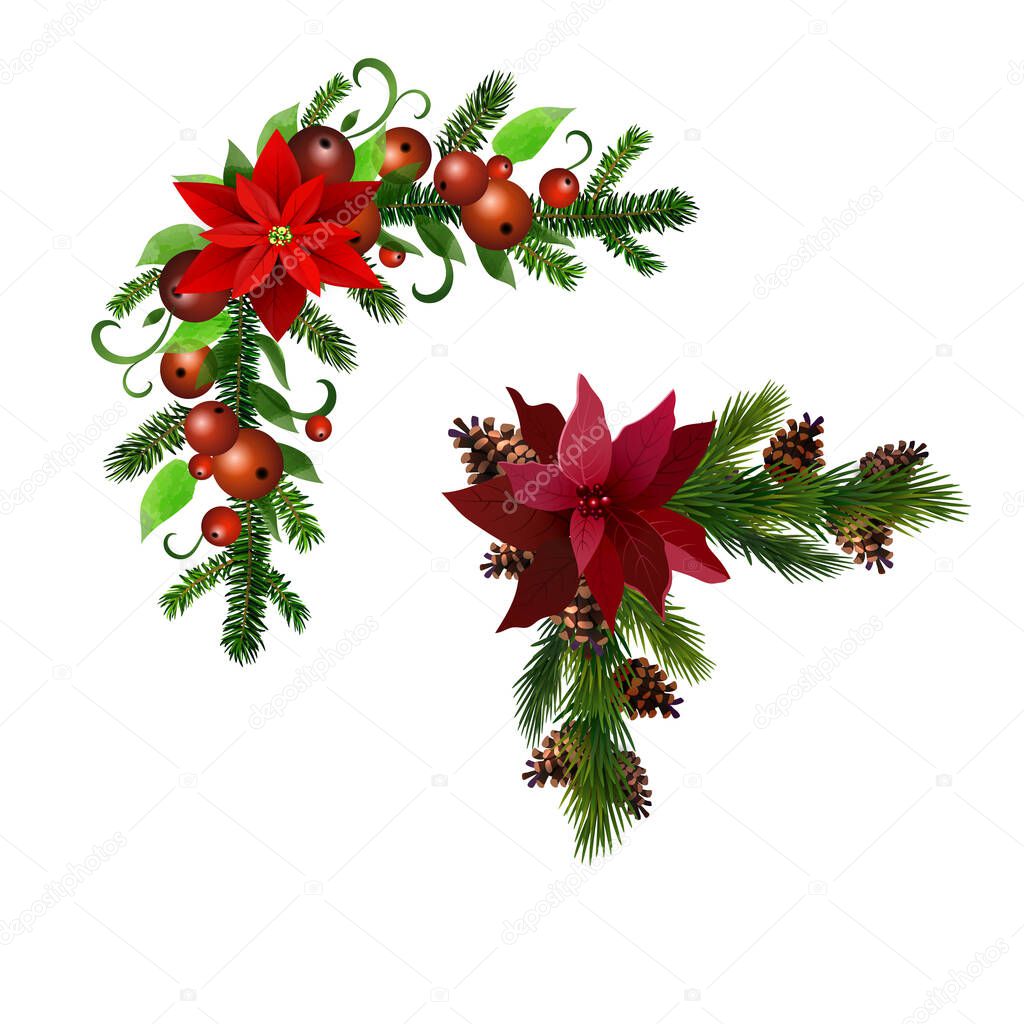 Christmas Holly brunches decoration vector