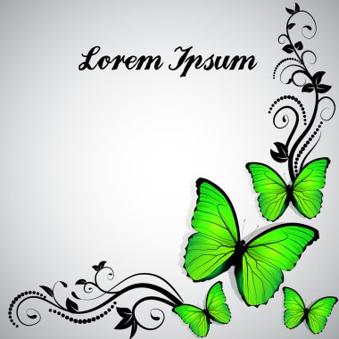 Çiçek arka kelebek