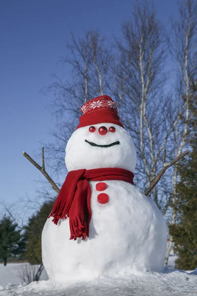 Amusing snowman in his red outfit