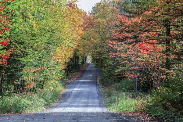 Dia ensolarado de outono em uma estrada rural localizada em Quebec, Canadá . — Fotografia de Stock