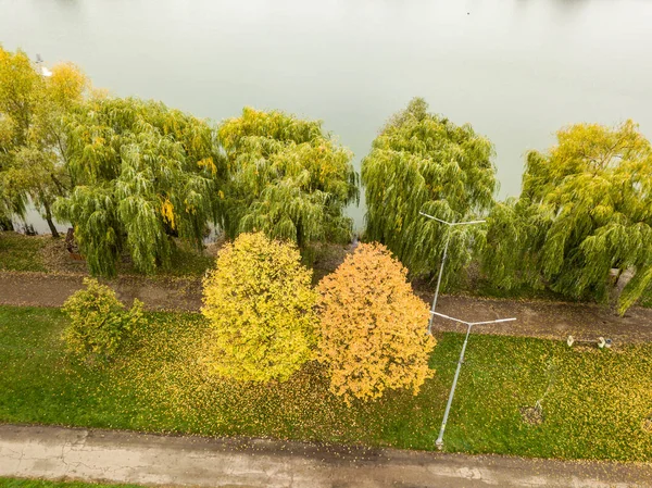 Vista Aérea Drones Árvores Outono Fundo Lago Cidade — Fotografia de Stock