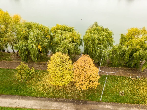 Vista Aérea Drones Árvores Outono Fundo Lago Cidade — Fotografia de Stock