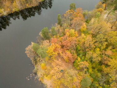Hava aracı görüntüsü. Karışık sonbahar ormanlarında küçük bir nehir. Yapraklar.