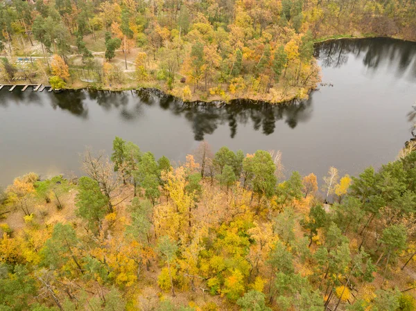 空中无人驾驶飞机视图 小河在五花八门的秋林中 — 图库照片