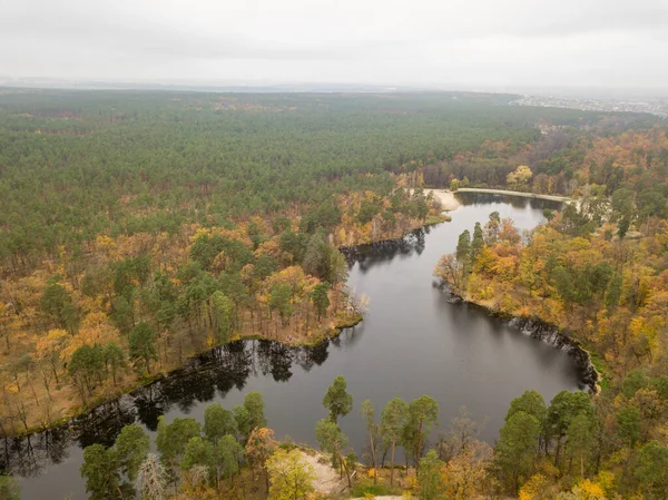 Pandangan Pesawat Tak Berawak Sungai Kecil Hutan Musim Gugur Campuran — Stok Foto