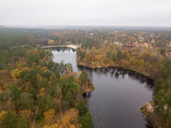 Widok Lotu Ptaka Mała Rzeka Mieszanym Lesie Jesiennym Liście — Zdjęcie stockowe