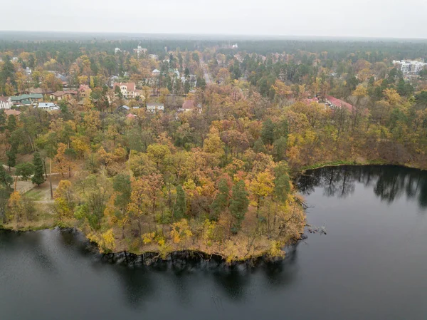 Veduta Aerea Del Drone Piccolo Fiume Nella Foresta Mista Autunnale — Foto Stock