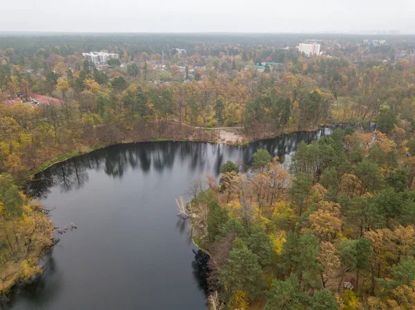 Letecký Výhled Malá Řeka Smíšeném Podzimním Lese Listoví — Stock fotografie