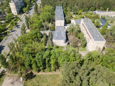 Hava aracı görüntüsü. Güneşli bir günde şehrin dışındaki çam ormanı..