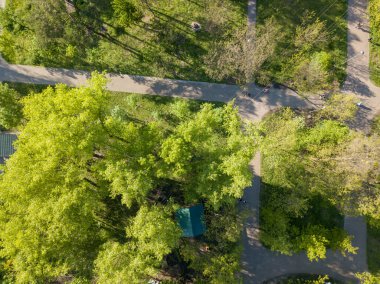Parkta yürüyüş yolları. Hava aracı üst görünümü.