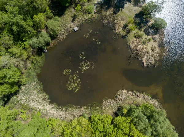 Повітряний Дрон Банк Річки Сонячний День — стокове фото