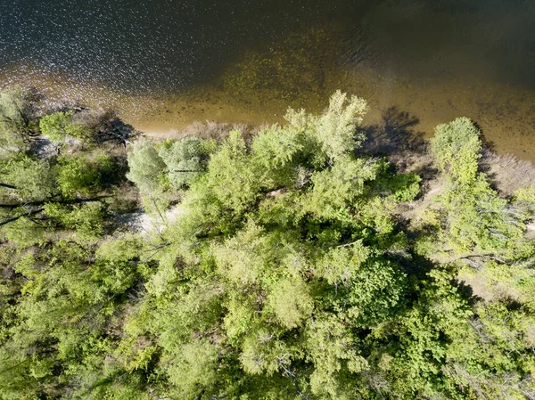 空中无人驾驶飞机视图 阳光明媚的河岸 — 图库照片