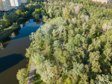 Hava aracı görüntüsü. Kiev şehir parkı.