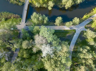 Parkta yürüyüş yolları. Hava aracı üst görünümü.