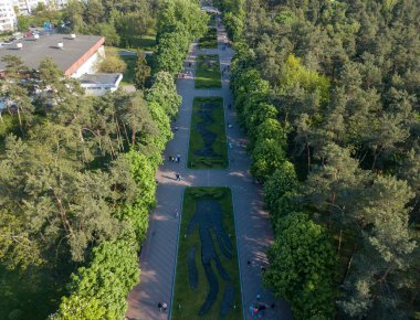 Hava aracı üst görüntüsü. Parktaki çiçek tarhı..
