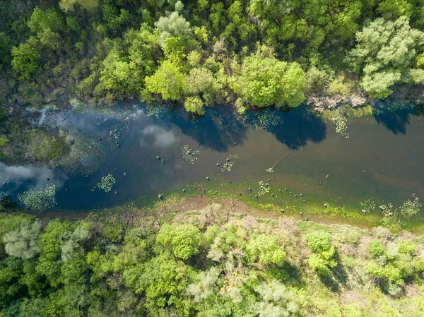 空中无人驾驶飞机视图 城市中的池塘 — 图库照片