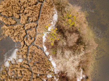 Hava aracı üst görüntüsü. Çimenli ada hafifçe karla kaplıdır. Sudaki ince buz.