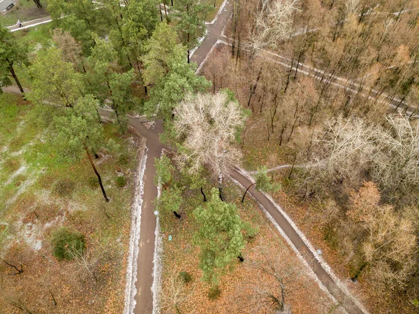 Bovenaanzicht Van Luchtdrone Paden Het Park Zijn Bedekt Met Een — Stockfoto