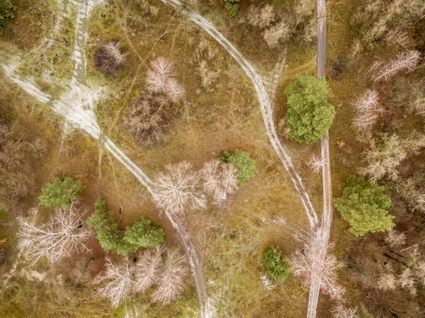 Flygdrönare Ovanifrån Smutsiga Vägar Parken Senhösten — Stockfoto