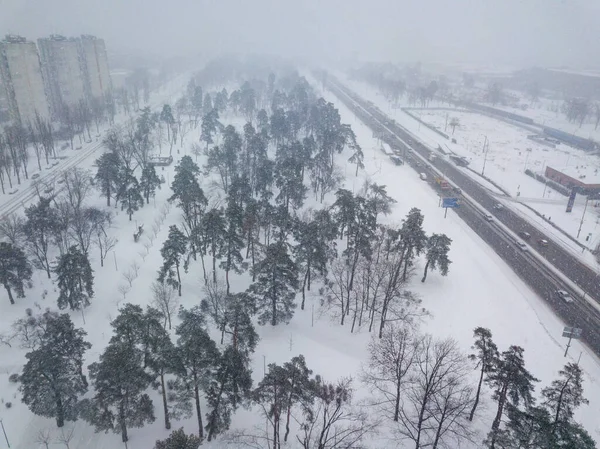 Snow-covered park in Kiev in a blizzard. Aerial drone view. Winter cloudy snowy morning.