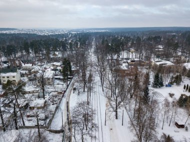 Çam ormanında karla kaplı evler. Hava aracı görüntüsü. Kış karlı sabah.