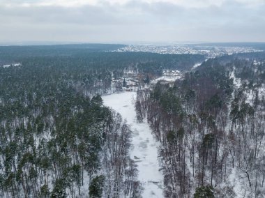 Karlı bir ormanda donmuş bir dere. Hava aracı görüntüsü. Kış karlı sabah.