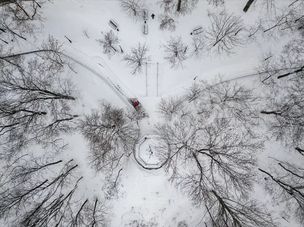 Red tractor removes snow in the park. Aerial drone view. Winter snowy morning.
