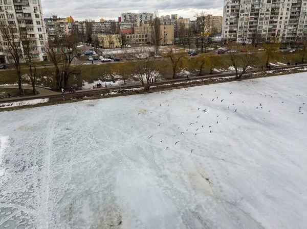 Frozen lake in the city among houses. Aerial drone view. Cloudy winter day.