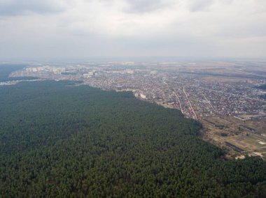 Baharın başında kozalaklı bir ormanda çam ağaçları. Hava aracı görünümü.