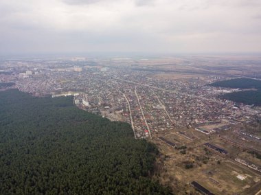 Baharın başında kozalaklı bir ormanda çam ağaçları. Hava aracı görünümü.