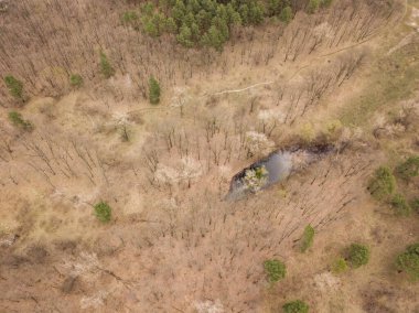 İlkbaharın başında orman. Hava aracı görünümü.