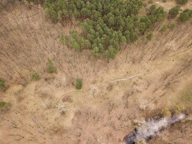 İlkbaharın başında orman. Hava aracı görünümü.
