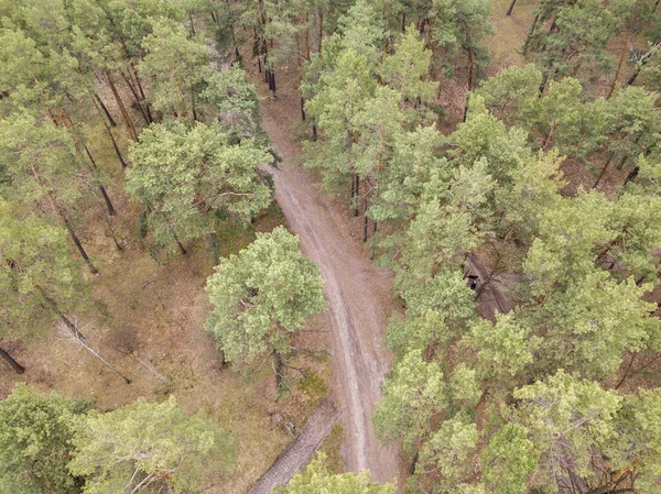 Špinavá Cesta Mezi Borovicemi Jehličnatém Lese Začátkem Jara Zobrazení Leteckých — Stock fotografie