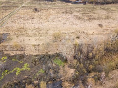 İlkbaharın başında orman. Hava aracı görünümü.