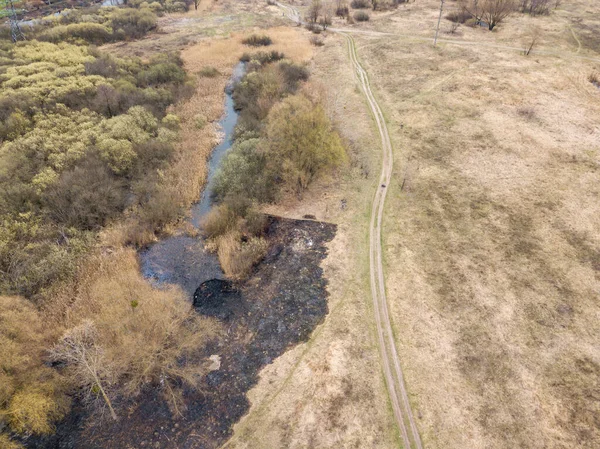 Skog Tidigt Våren Flygdrönare — Stockfoto