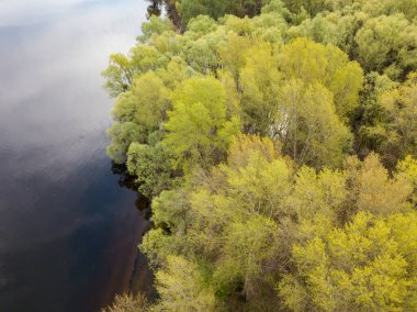 Baharda göl kıyısında. Hava aracı görünümü.