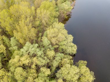 Baharda göl kıyısında. Hava aracı görünümü.