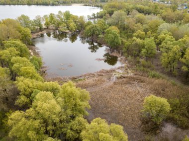 Baharda göl kıyısında. Hava aracı görünümü.