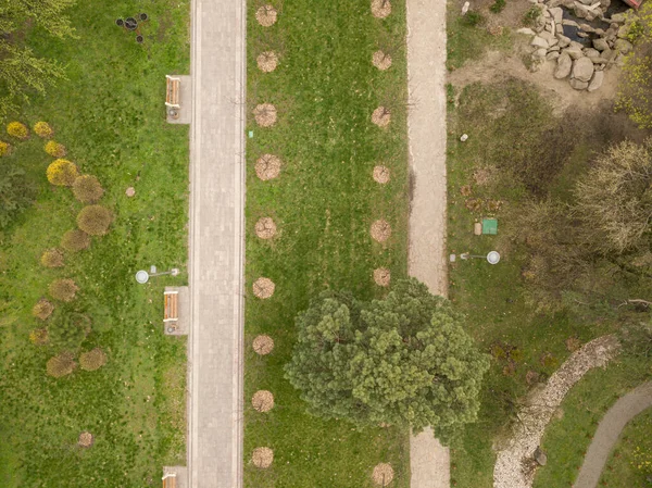 春天在公园里散步 空中无人驾驶飞机视图 — 图库照片