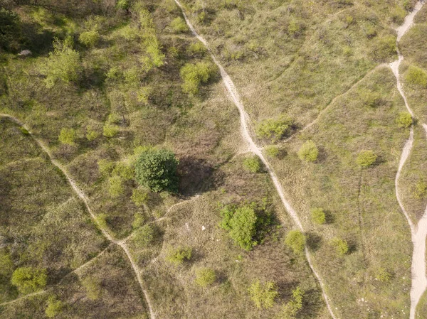 Sentiers Pédestres Dans Parc Printemps Vue Aérienne Drone — Photo