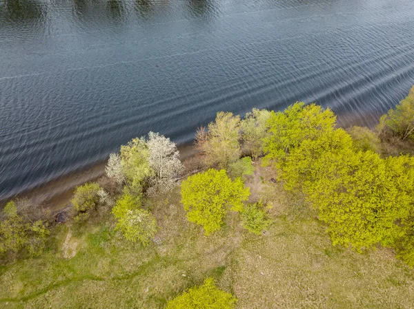 Orilla Del Lago Primavera Vista Aérea Del Dron —  Fotos de Stock