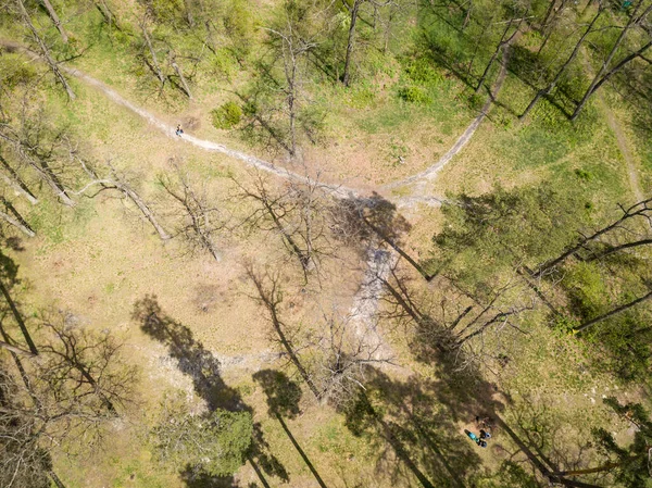 Zielony Las Wiosną Widok Drona Powietrza — Zdjęcie stockowe