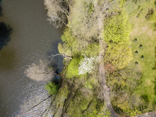 春天的湖滨 空中无人驾驶飞机视图 — 图库照片