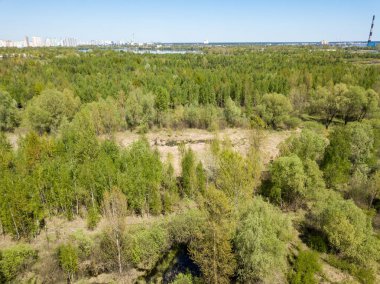 Baharda yeşil orman. Hava aracı görünümü.