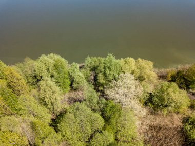 Baharda göl kıyısında. Hava aracı görünümü.
