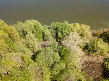 Baharda göl kıyısında. Hava aracı görünümü.